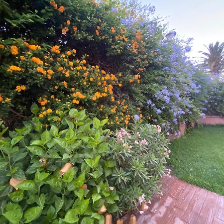 Apartamento jardin Sanlucar Sanlúcar de Barrameda Extérieur photo