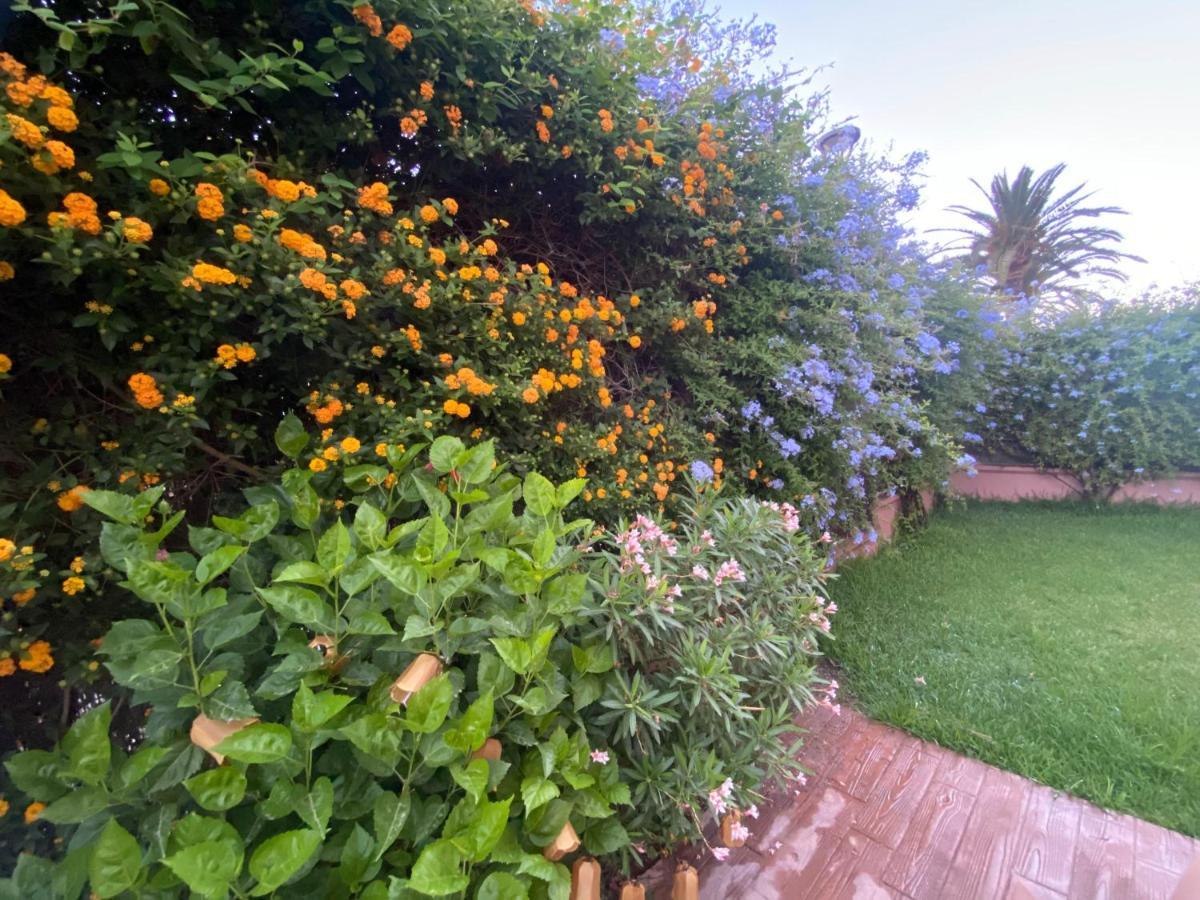 Apartamento jardin Sanlucar Sanlúcar de Barrameda Extérieur photo